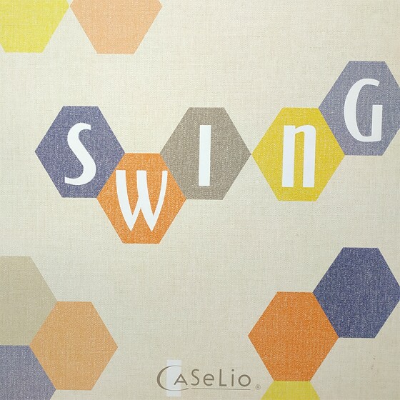 caselio swing